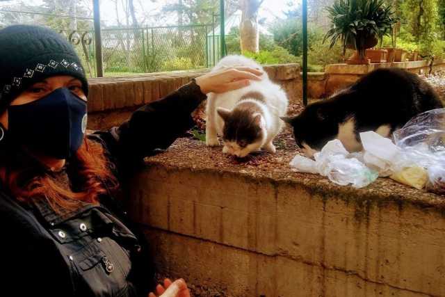 Bari, la vita dei 203 gattari "tesserati" dal Comune: �Spese per i mici tutte a nostro carico�
